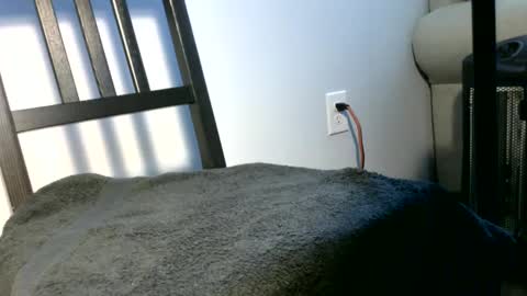 Luke online show from March 11, 10:09 pm