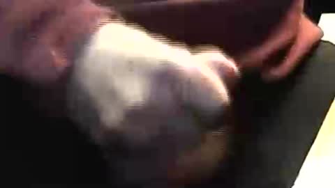 lukestarfckr online show from April 19, 4:30 pm