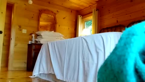 Connie online show from December 1, 5:48 pm