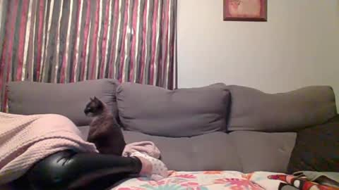 Luna online show from November 8, 6:44 pm