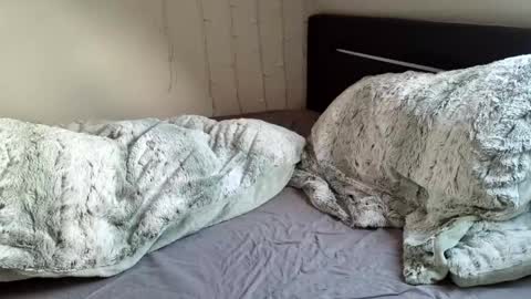 Luna  powered by bitch dust online show from December 20, 11:10 am