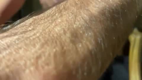 lupushorny online show from January 17, 5:28 am