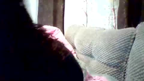 lushlola254 online show from November 23, 5:22 pm