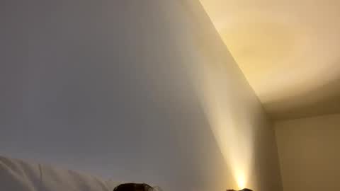 Joe and Sarah online show from February 6, 12:15 pm