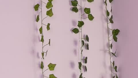 Lyly   online show from October 6, 5:36 am