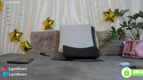 Lynx Rosen online show from January 17, 9:06 pm