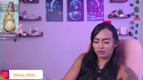 Macey Elliot Modelo Independiente online show from February 6, 3:31 pm