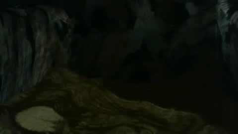 macho9385 online show from March 22, 8:35 pm