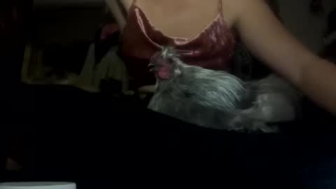 SummerPeach online show from February 5, 5:30 am