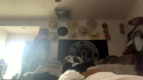 SummerPeach online show from February 5, 4:14 pm