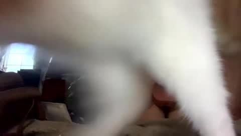 SummerPeach online show from February 1, 1:12 am