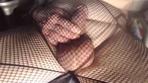 maestro2017 online show from March 25, 11:00 pm