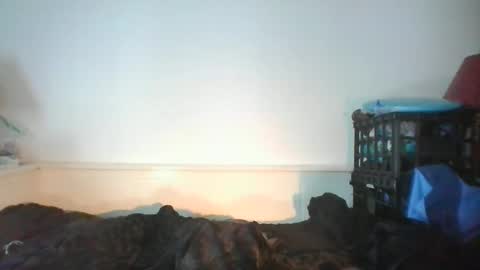 CommandbondageNipples bondage kink submissive lovense slave wgear. modequiethvyBondage If Password goldfish online show from March 13, 7:39 pm