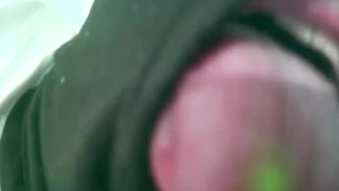 maleslutforwomen online show from October 11, 4:39 am