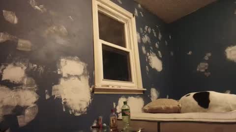 Malicious Monoxide online show from January 12, 3:49 am