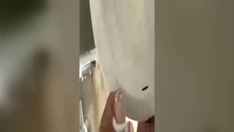 marco_77_ online show from July 4, 11:14 am