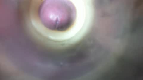 Marc online show from February 19, 8:52 pm