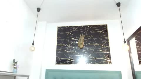 MARCUS  online show from February 2, 11:06 am