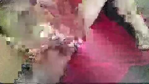 DJs All Day Playhouse online show from February 4, 2:53 pm