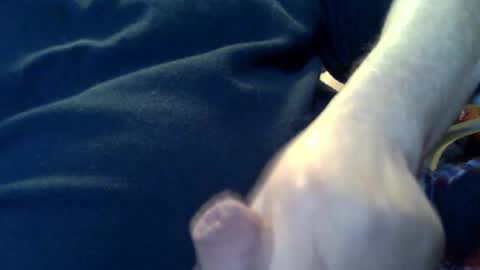 marko_th online show from February 8, 11:19 pm