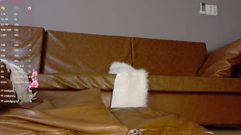 Mari online show from March 2, 5:08 am