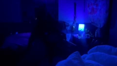 masknasty69 online show from May 18, 10:43 am