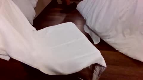 Massive Abrasions online show from March 1, 3:22 am