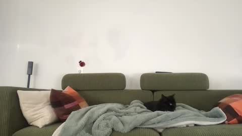 mat_johof online show from November 4, 3:02 pm