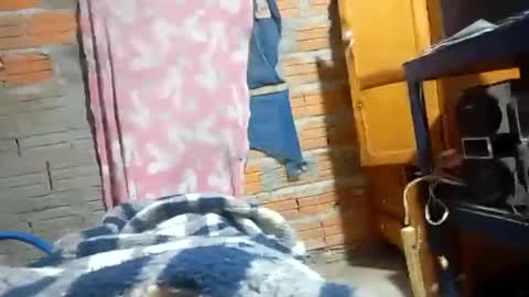 maxieee11 online show from October 1, 5:17 am