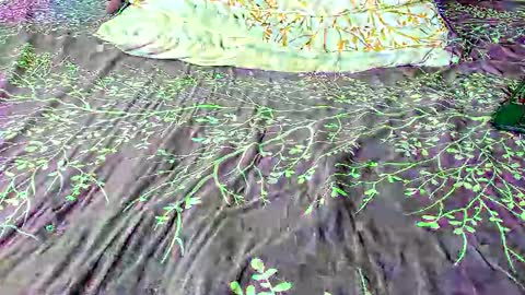 Maybelline69 online show from October 28, 7:42 am