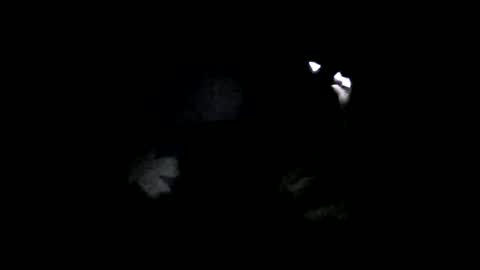 Oltereodora-lima online show from February 6, 7:07 pm