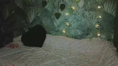 meeeewmeeeeow online show from October 13, 11:18 pm