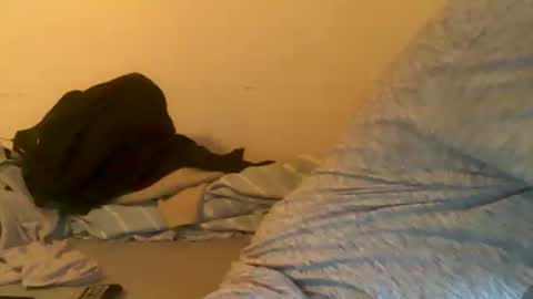 megamanp online show from April 16, 8:03 am