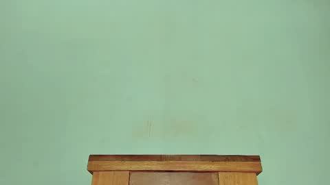 Melania online show from February 27, 1:38 pm