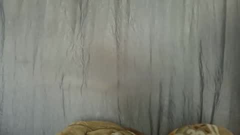 meld2599 online show from October 10, 9:59 am