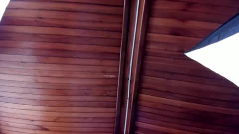 Melissa  Everyday From 1430 to 2130 Col Time online show from February 21, 8:34 pm