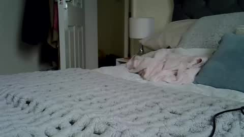 Melissa online show from November 24, 1:32 pm