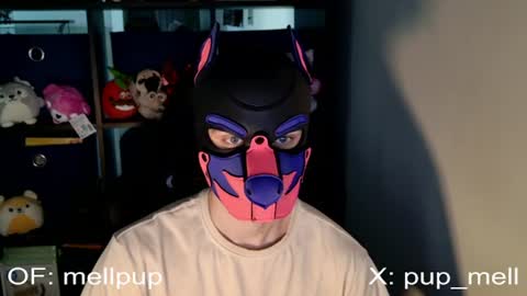 MellPUP online show from June 25, 1:05 pm