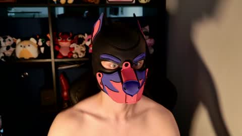 MellPUP online show from July 29, 1:11 pm