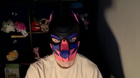 MellPUP online show from June 18, 11:26 am