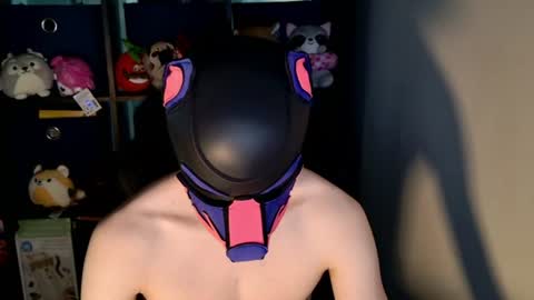 MellPUP online show from June 24, 12:34 pm