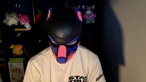 MellPUP online show from June 22, 11:50 am