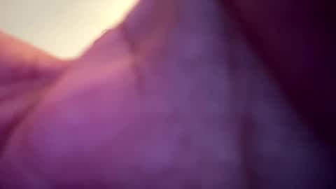 memolesta13 online show from February 9, 2:06 am