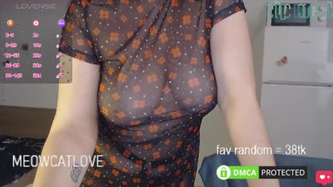 meowcatlove online show from January 27, 6:31 pm