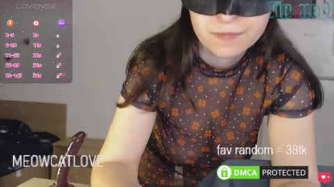 meowcatlove online show from January 24, 9:37 pm