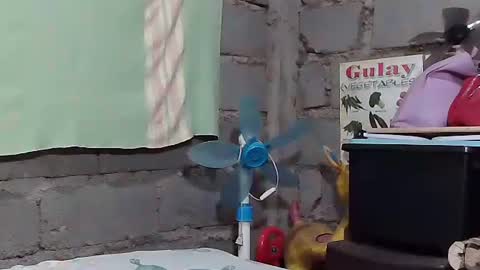 merietiny online show from January 22, 5:59 am