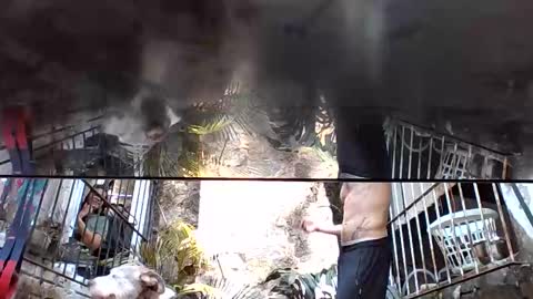 KinkMEXpig online show from February 26, 9:40 pm