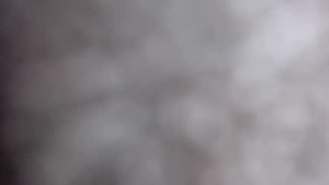 MiahLove31 online show from October 17, 5:00 am