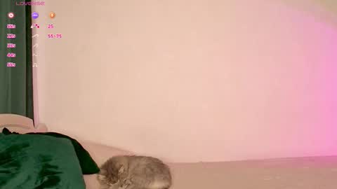 Mia online show from November 14, 7:10 am