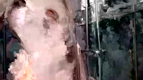 mickavis1975 online show from January 1, 5:55 pm